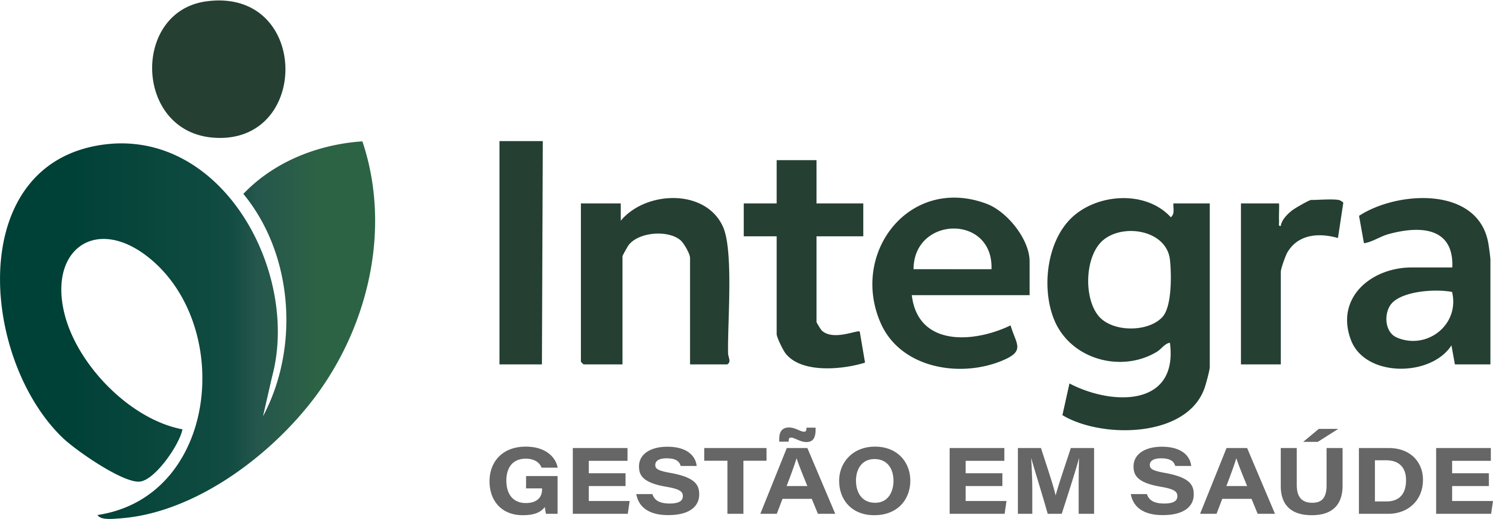 Integra Gestão em Saúde